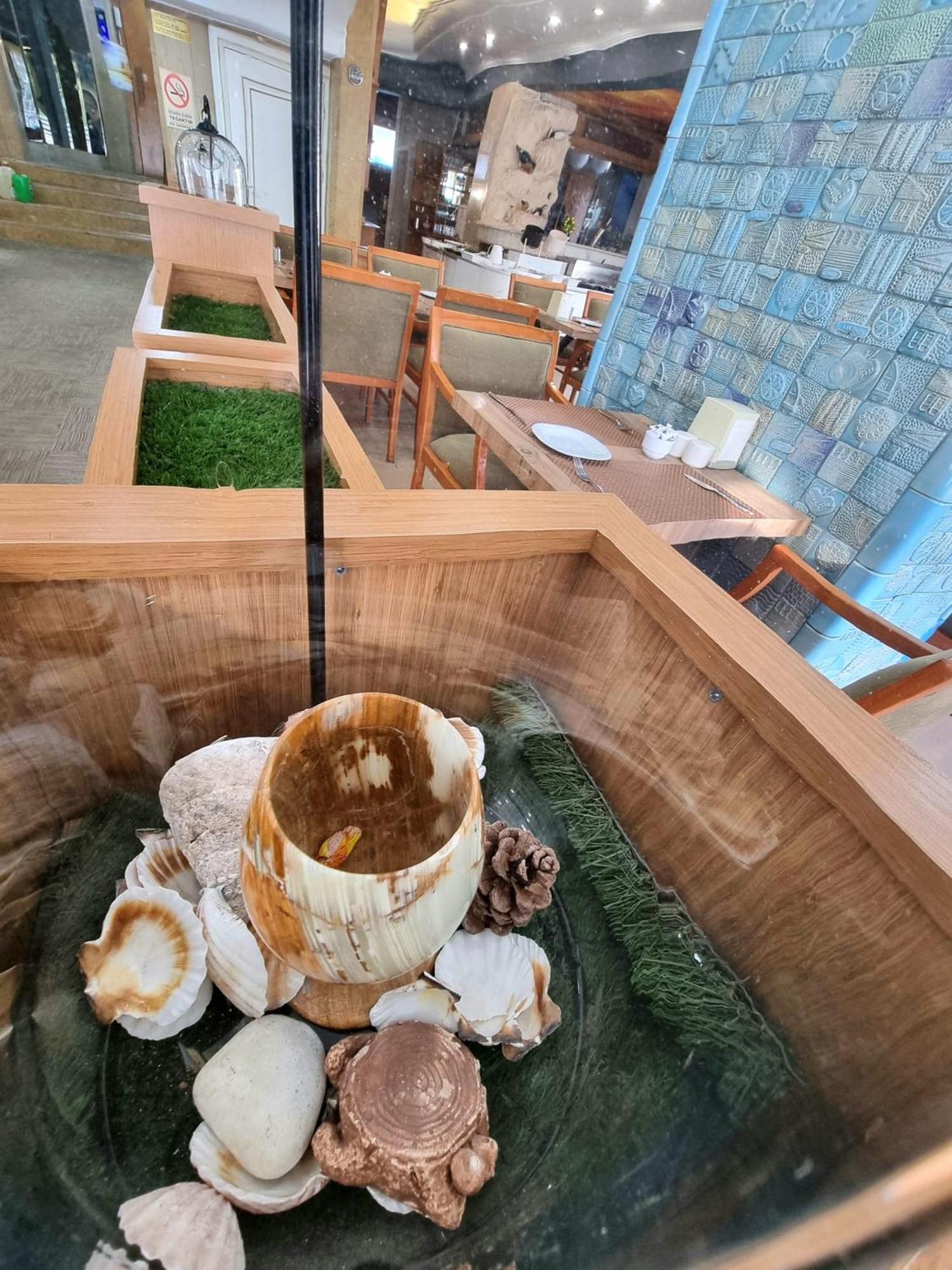 Perlo Hotel City Antalya Dış mekan fotoğraf